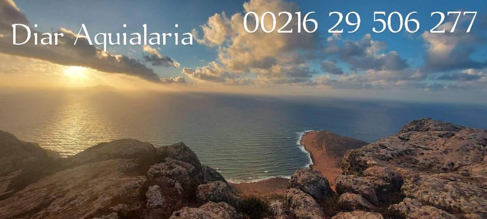 Residence Aquilaria Dar Narjes El Haouaria Zewnętrze zdjęcie